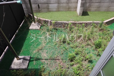 庭